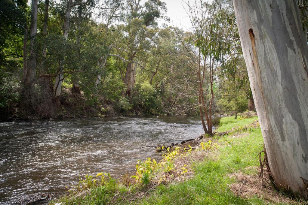 BEST WESTERN Yarra Valley Warburton Habitación foto