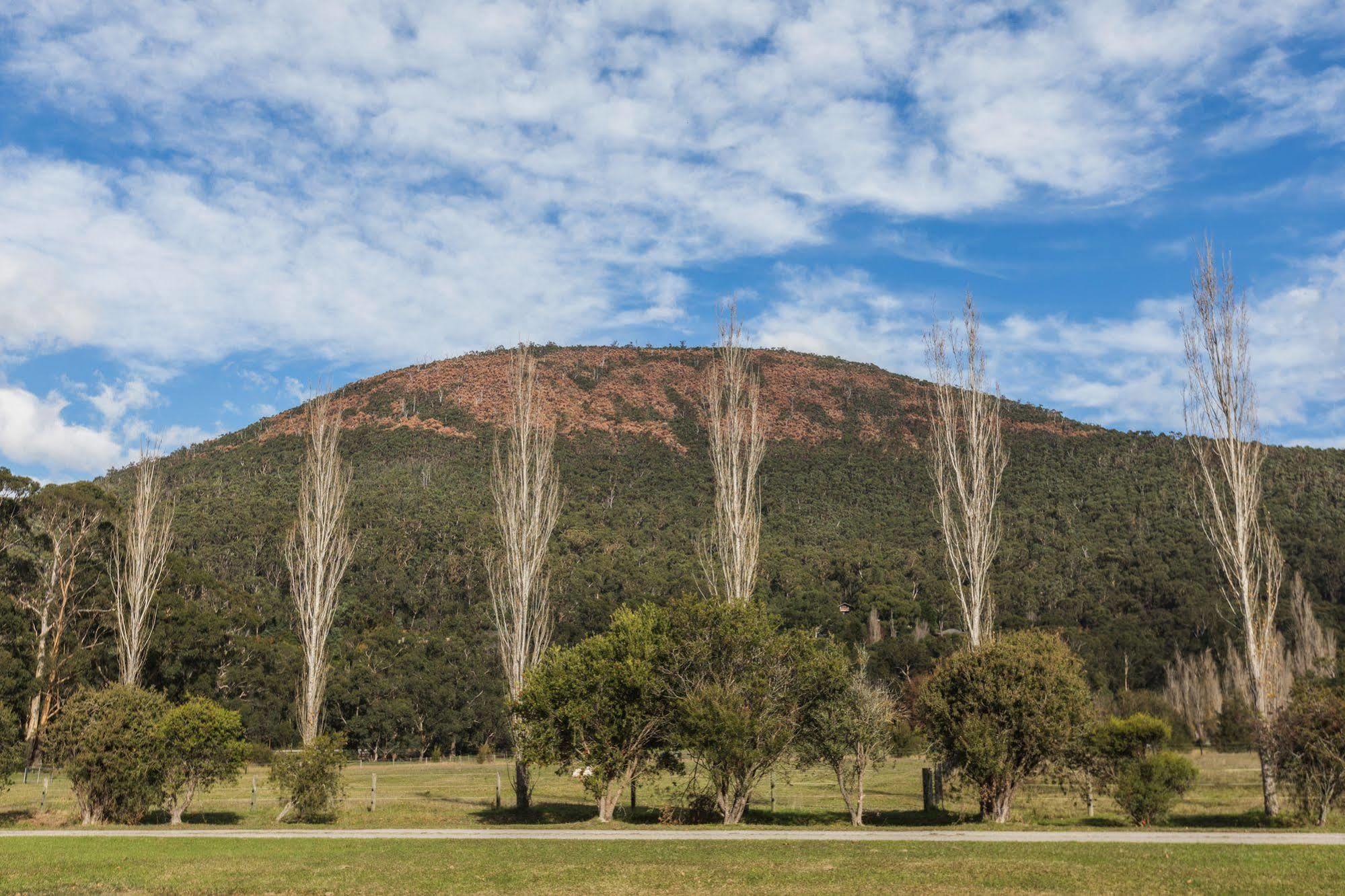 BEST WESTERN Yarra Valley Warburton Exterior foto