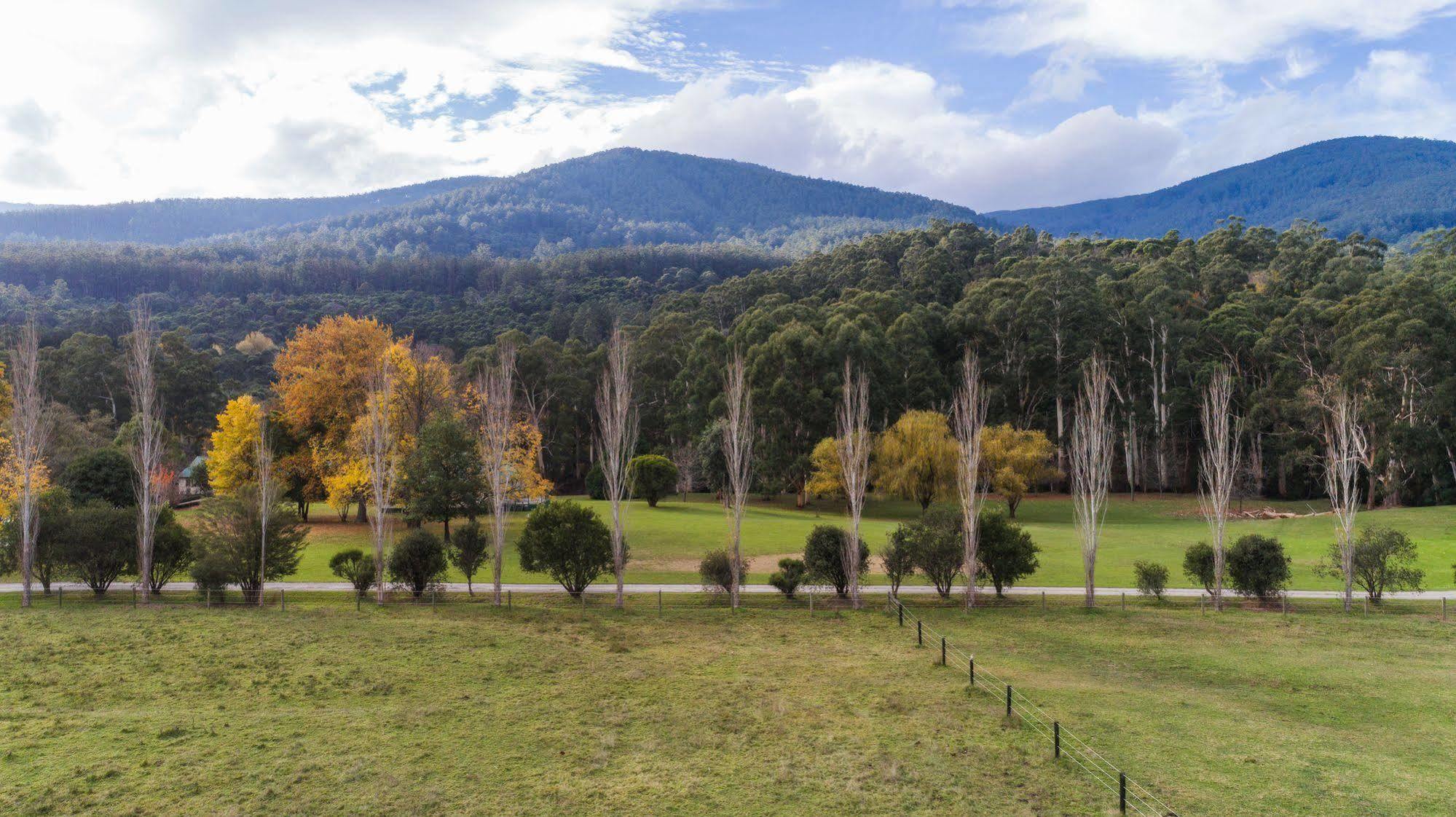 BEST WESTERN Yarra Valley Warburton Exterior foto